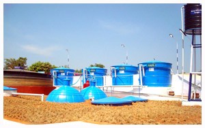 institutional biogas plant